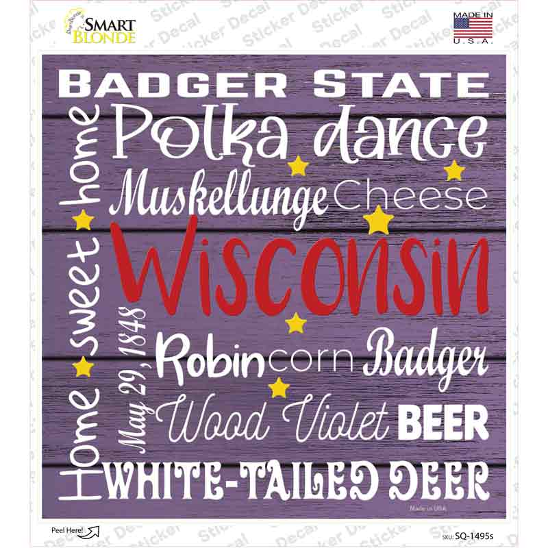 Wisconsin Motto Novelty Square Sticker Decal Small