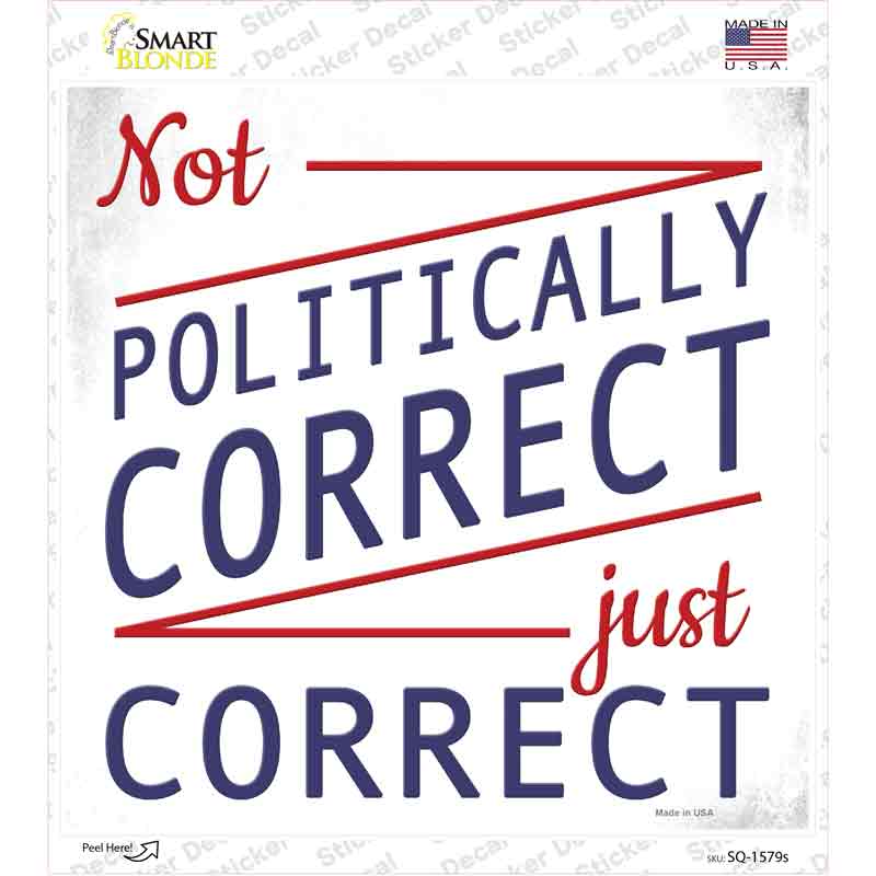 Not Politically Correct Just Correct Novelty Square Sticker Decal Small